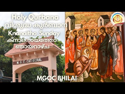 MGOC Bhilai | Holy Qurbana | 03rd Mar 2024 | ക്നാനൊയ്തോ ഞായർ | Knanaitho (Canaanite Woman) Sunday |