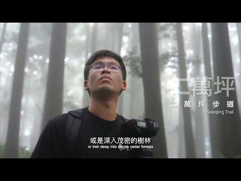 無盡驚喜：探索台灣阿里山的神奇之旅