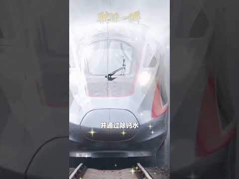 Spring Festival Travel Ready: Watch How China’s High-Speed Trains Get a Wash