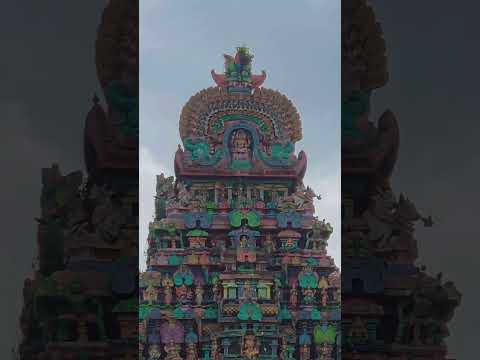 திருவாரூர் பெரிய கோவில் கீழ கோபுரம் புற திசை அழகு #tn50 #travel #travelvlog #sivantemple #tvr #tamil