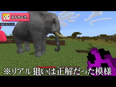 【ゴラクバ】リアル狙いが正解！リアルすぎる動物を使って動物園建築バトル【マイクラ】 05