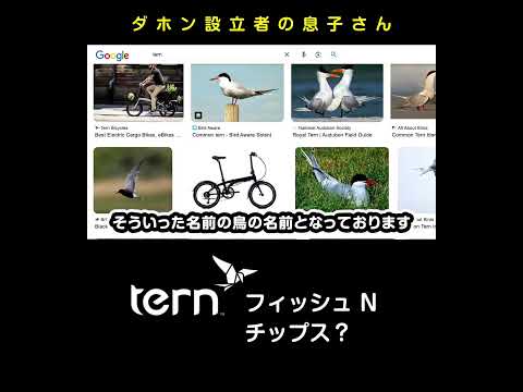 ターンとフィッシュNチップス　[最強伝説] 5万円 TERN CREST ターンのクレスト #ミニベロ #Surge #サージュ #SURGEX #サージュカイ #ミニベロ #451