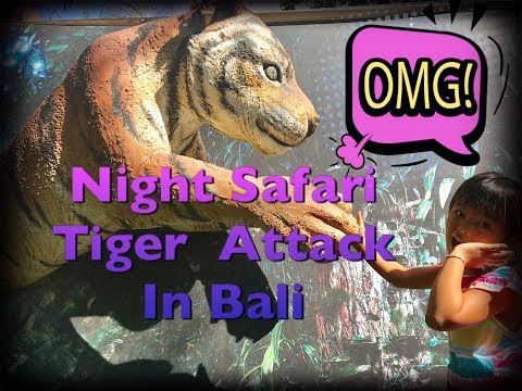 Bali Safari and Marine Park  Night Safari