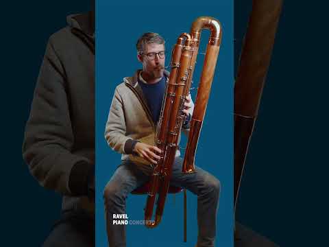 The French Contrabassoon