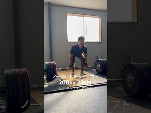 ノーベルトデッドリフト200kg2週目！　#デッドリフト #デッドリフト200kg #パワーリフティング #筋トレ