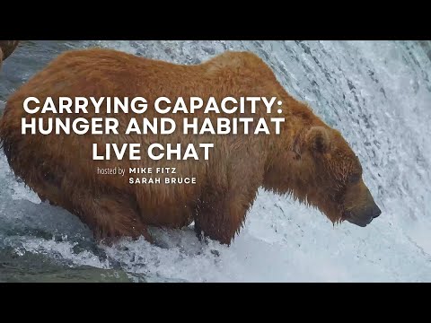 Carrying Capacity: Hunger and Habitat | Brooks Live Chat