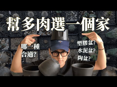 【幫多肉選一個"家"吧!!】塑膠盆 水泥盆 陶盆 哪一個比較合適?! 經驗與優缺點大公開!!