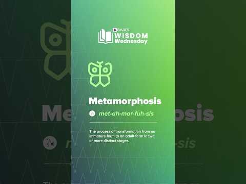 Metamorphosis | BYJU’S Wisdom Wednesday #shorts