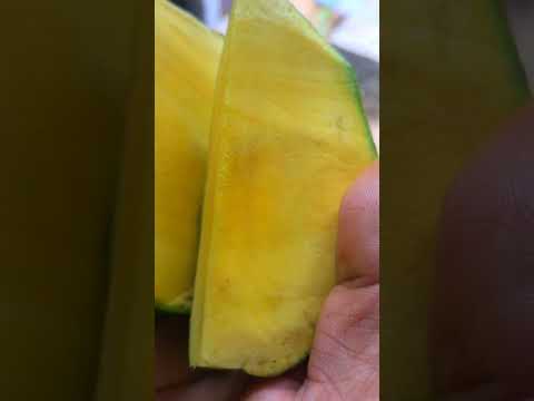 കർപ്പൂര മാങ്ങ 😋😋😋🥭subscribe me #shorts#viral #mango #mangocutting #gardeningtips #malayalam