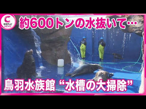 【水槽の大掃除】  約600トンの水抜いて･･･年末の恒例行事　三重・鳥羽市 鳥羽水族館