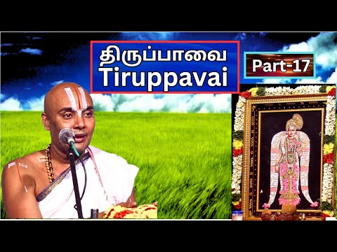 திருப்பாவை பகுதி - 17, Tiruppavai  - Akkarakani U Ve Srinidhi Swami, Vani Mahal,