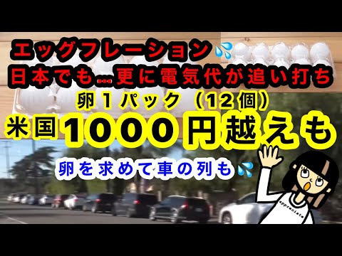 【卵・食糧危機】米国では長い列！日本でも飼料高騰、鳥インフルエンザ、電気代の値上げ。卵が高級品に！鶏レンタル。九官鳥の話…。