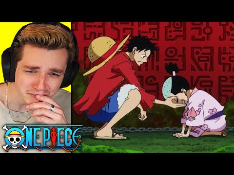 MOMONOSUKE ASKS LUFFY... (one piece reaction)