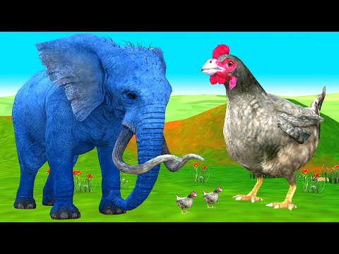 मुर्गी का अंडा हाथी दोस्ती और बड़ा सांप Murghi aur Hathi Ki Dosthi | Snake Vs Elephant Save Hen Egg