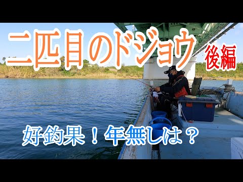 【かかり釣り】【チヌ筏】後編　二匹目のドジョウ（年無し）狙いで日高川伝馬船に行ってみた。