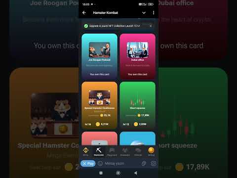 Hamster Combat Combo Cards #token  #telegram  #hamsterkombat  #crypto