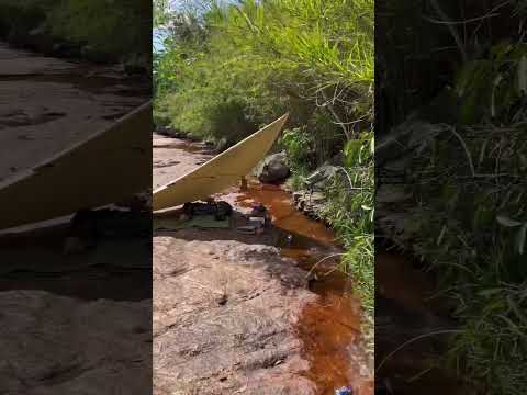 Camping by the stream #camping #cắmtrạimộtmình #solocamping #camplife #asmr