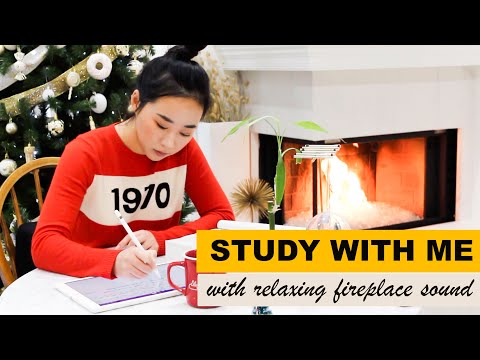 STUDY WITH ME with relaxing fireplace sound | REAL TIME POMODORO SESSION