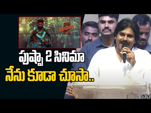 పుష్పా 2 సినిమా నేను కూడా చూసా.. | Pawan Kalyan Speech Game Changer Pre Release Event