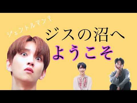 【SEVENTEEN】ジスの沼へようこそ