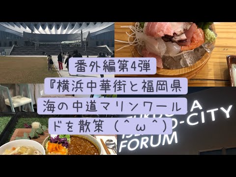 番外編第4弾『横浜中華街付近と福岡県東区マリンワールド海の中道を散策した時の様子を写真で振り返る』（＾ω＾）