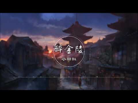 醉金陵 - 小田叔【金陵一梦 旧城里几多繁华】古风 中国风 抖音 中文歌曲 华语歌曲 | Chinese Song, Chinese Music