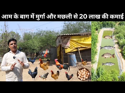 Teacher का  देसी मुर्गा फार्म  I  Desi Murga  I  eggs  I  Desi Poultry Farm Business Plan