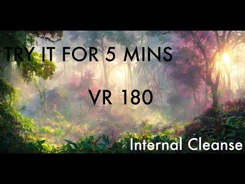 5 minute - Cleanse - VR 180 - Meditation