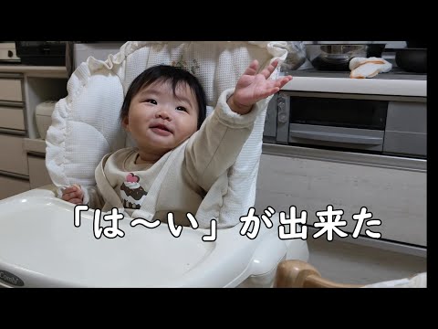 「は～い」が出来るようになった0歳児【270Days】