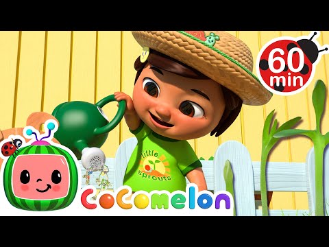 Grow and Grow Baby Seeds! | CoComelon Kids Songs & Nursery Rhymes