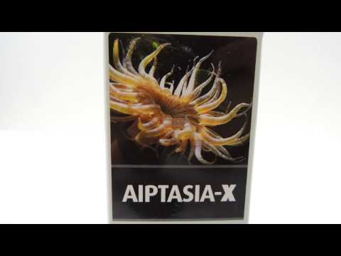 Killing Aiptasia with Aiptasia X