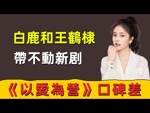 白鹿和王鶴棣也帶不動！期待劇《以愛為營口》口碑不好，問題出現在哪裏