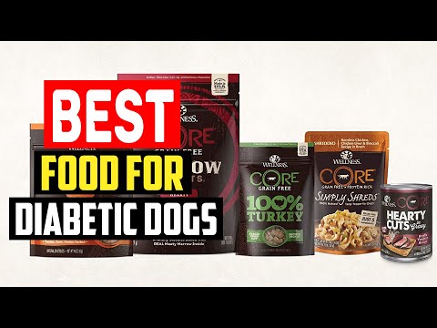 ✅ Top 5 Best Food for Diabetic Dogs in 2023