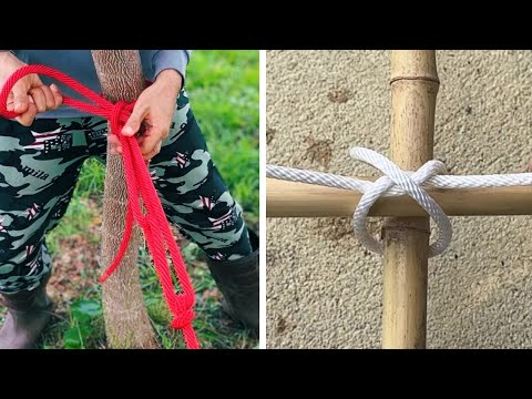 Rope Tricks: Useful Knots for Any Situation