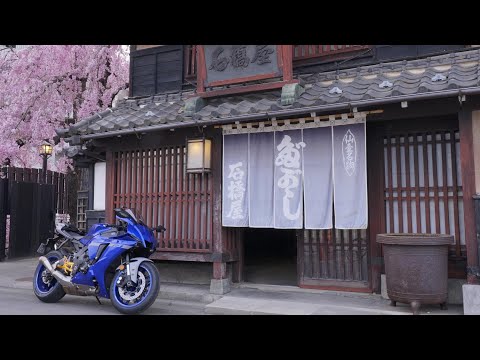 【motovlog】仙台の桜も満開！！石橋屋さんの枝垂桜見てきました！！