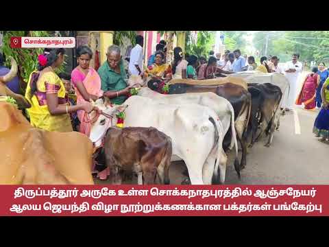 திருப்பத்தூர் அருகே சொக்கநாதபுரத்தில் ஆஞ்சநேயர் ஆலய ஜெயந்தி விழா நூற்றுக்கணக்கான பக்தர்கள் பங்கேற்பு