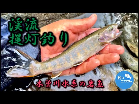 木曽川水系で春の提灯釣り