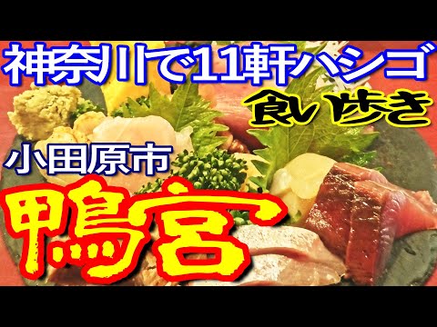 神奈川ゆる旅　小田原市の鴨宮で１１軒ハシゴして食い歩き満喫