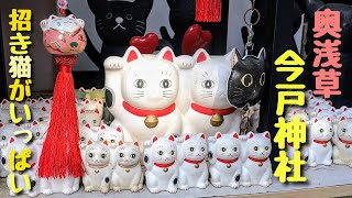 奥浅草 今戸神社(いまどじんじゃ)  招き猫がいっぱい   2024年12月29日撮影