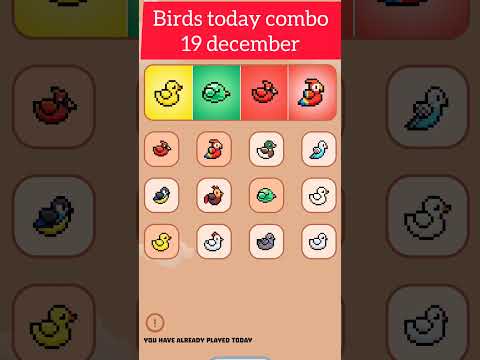 BIRDS 19 DECEMBER COMBO CARD