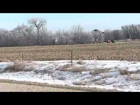 Iowa Coyote Hunting