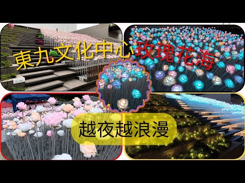 [街坊快訊 - 12]東九文化玫瑰花海 | 日與夜 | 玫瑰花海 | 色彩繽紛 | 浪漫氣紛 | 鄰近九龍灣MTR | 交通方便 | 飲茶 | 食點心 |一日遊 | 謝謝 KENNY@WONG