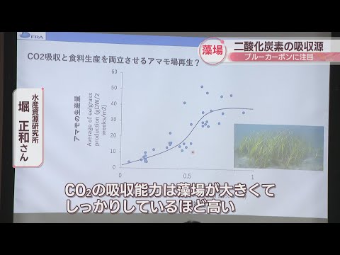 二酸化炭素の吸収源として注目　「藻場」の役割について考えるセミナー　高松市