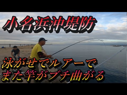 【小名浜沖堤防】泳がせ釣りで、ルアーで、竿がぶち曲がり高級魚が姿を現す！！心と体が震える瞬間．．．感動が訪れる