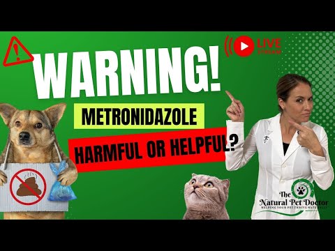 Metronidazole: Is it truly helping your dog's diarrhea or harming your dog's gut health?