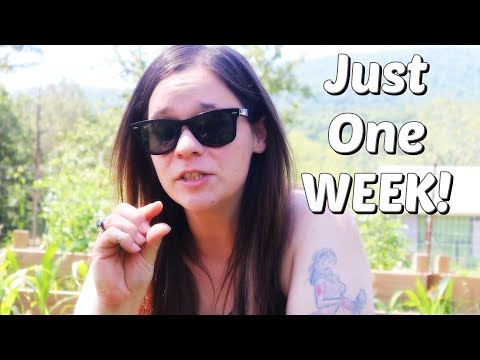 Leaving For A Week CHANGED EVERYTHING | DIY | Garden | Shed To Cabin