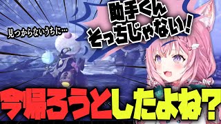 命の危機を感じた助手くん・・・こっそり逃げる…【博衣こより/ホロライブ/Hololive/切り抜き】