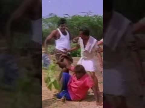 என்ன சித்தப்பு சாப்டிங்களா Goundamani Senthil Best Indian TamilMovie Comedy Scenes| Truefix Studios