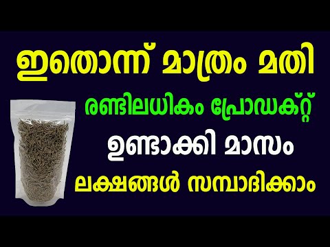 ഒരു ഇല കൊണ്ട് ലക്ഷങ്ങൾ സമ്പാദിക്കാം High profit Business ideas Malayalam 2024