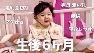 生後６ヶ月赤ちゃんルーティン【離乳食初期/マグ練習/便秘/寝かしつけ/完母】